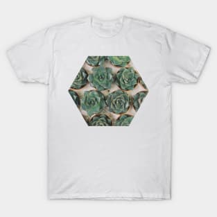 Succulent Collection T-Shirt